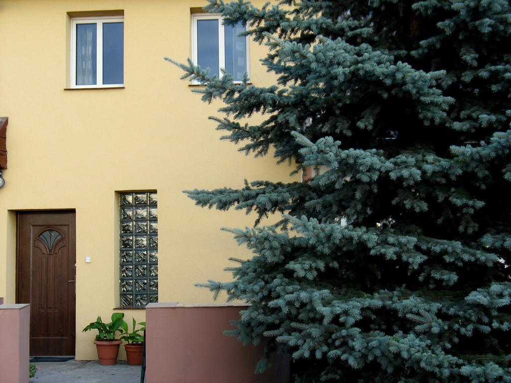 Apartamenty Stajni Jazon Malbork Exterior foto