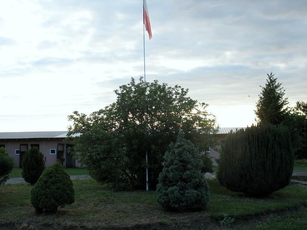 Apartamenty Stajni Jazon Malbork Exterior foto