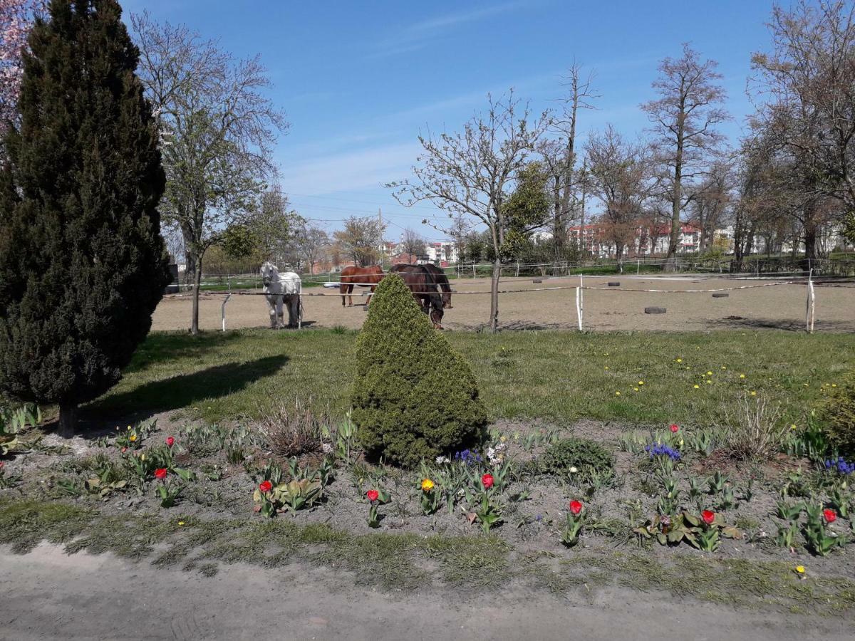 Apartamenty Stajni Jazon Malbork Exterior foto